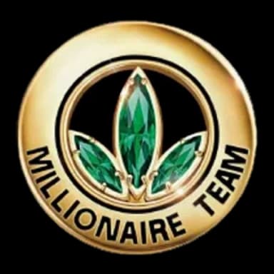 Millionaire Team